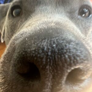 Meet your Posher, Jordan